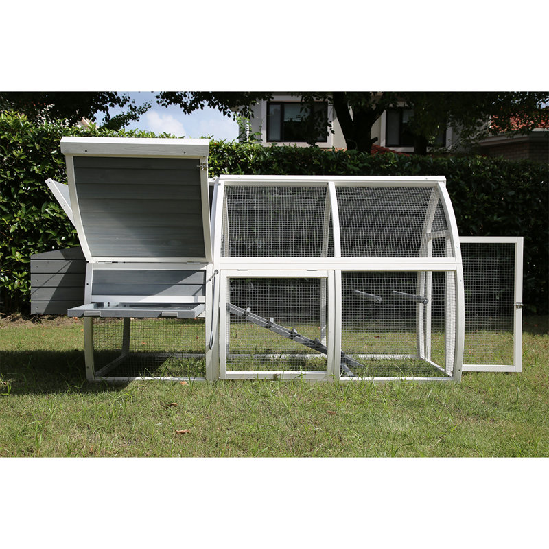 Pets Imperial® Chicken Coops Chicken Coop with Chicken Run For Up To 5